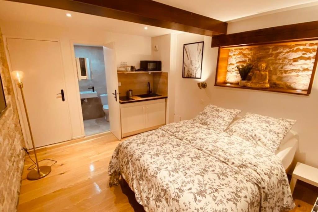 Studio Renove Avec Patio, Coeur Du Centre Ville Безансон Екстер'єр фото